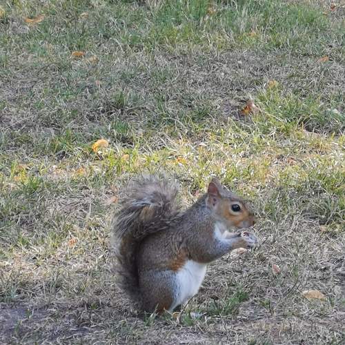 Photo #7370071