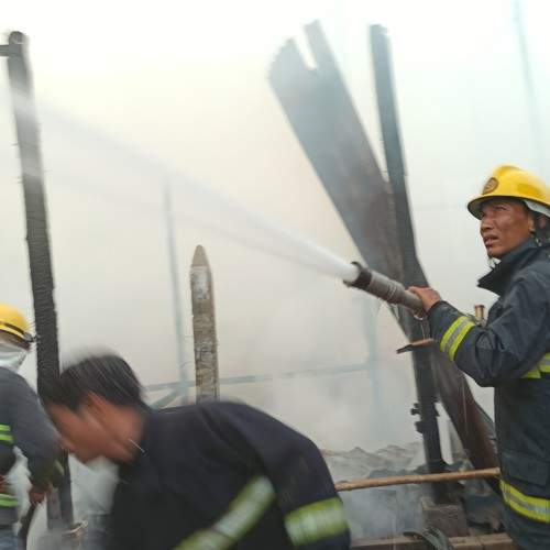 Photo #7370079