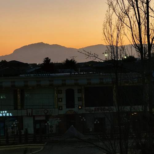 Photo #7370101