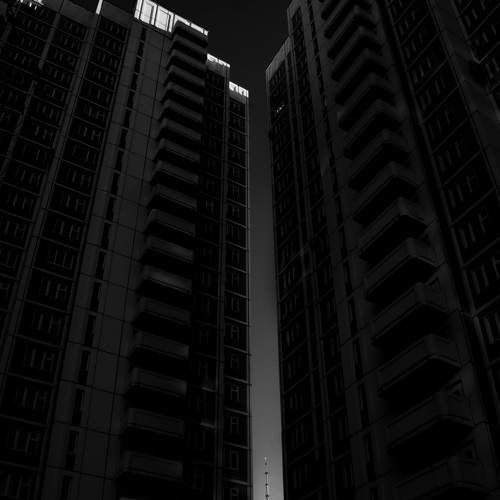 Photo #7370175