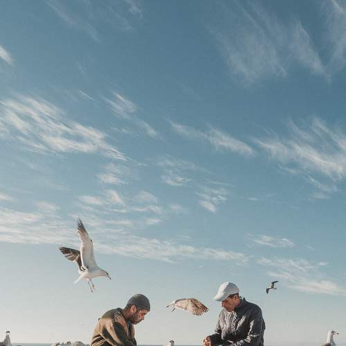 Фотография #7370406