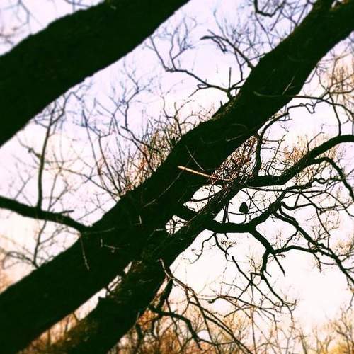 Photo #7370473