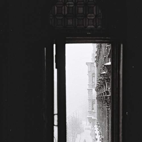 Photo #7370720
