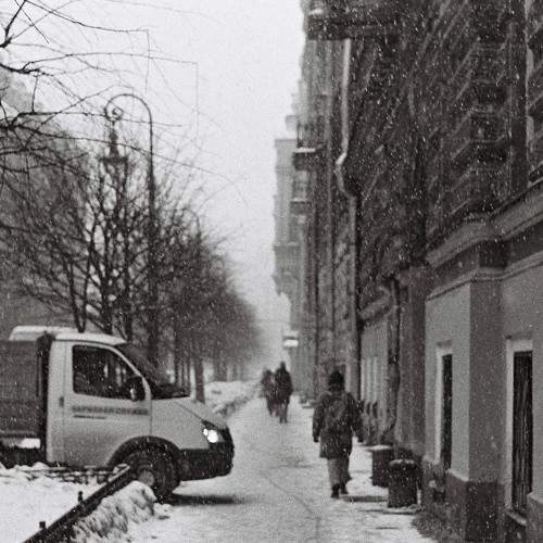 Photo #7370722