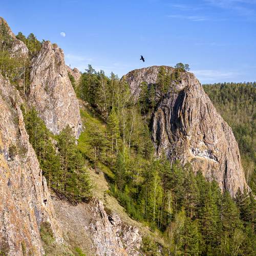 Photo #7370737