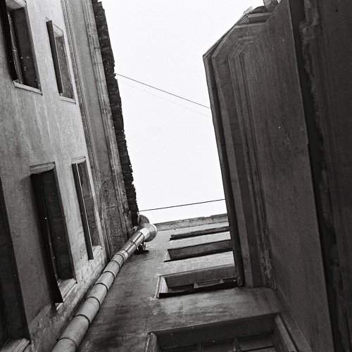 Photo #7370740