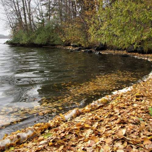 Photo #7370850