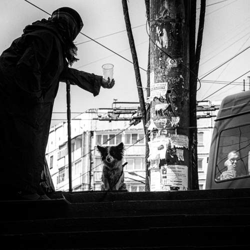 Photo #7370917