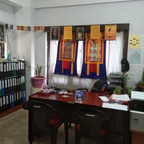 Photo #7370969