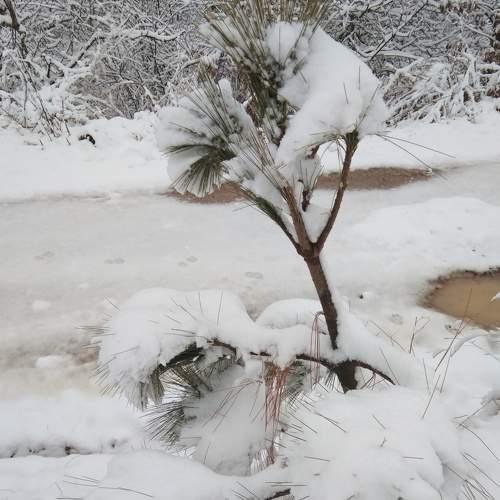 Photo #7371159