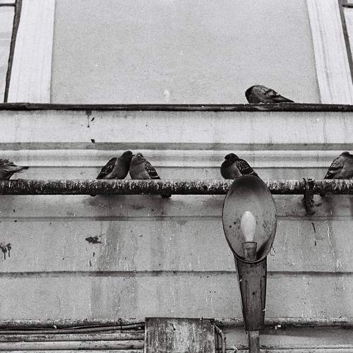 Photo #7371634