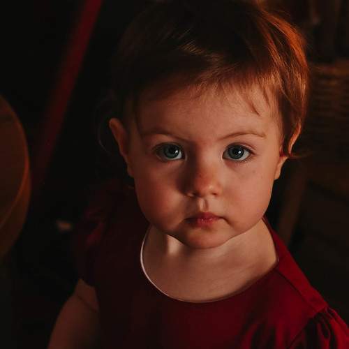Photo #7371796