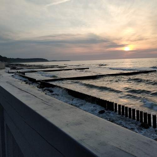 Photo #7372031