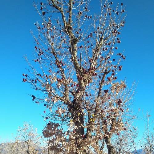 Photo #7372249