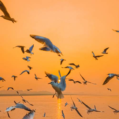 Photo #7372314