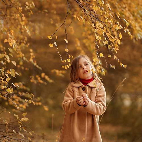 Photo #7372399