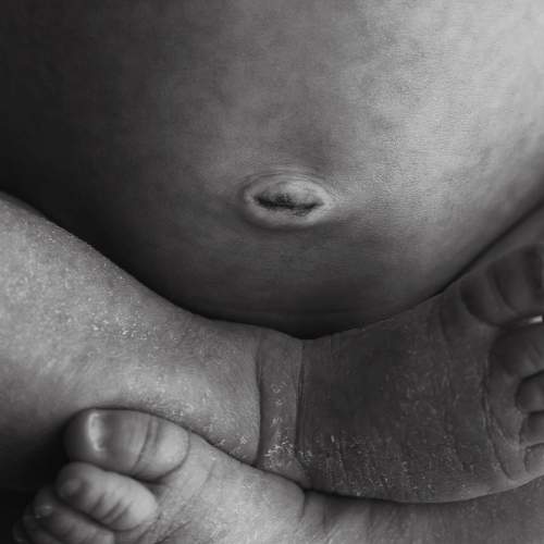 Photo #7372447