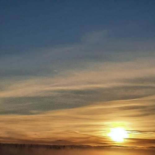 Photo #7372528