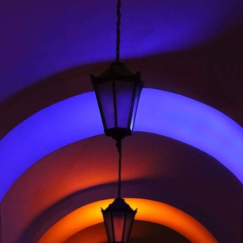 Photo #7372569