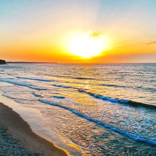 Photo #7372631