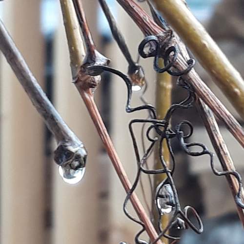 Photo #7372645