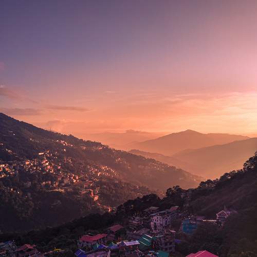 Photo #7372666