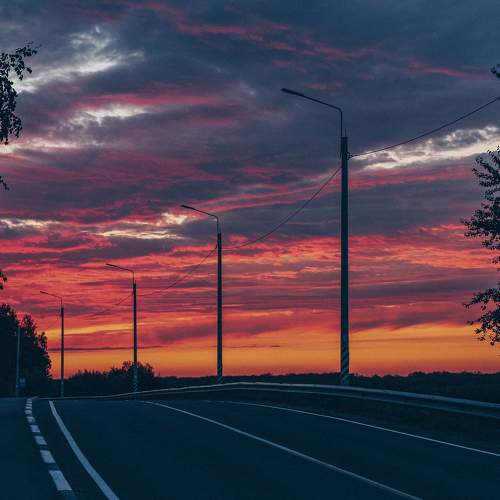 Photo #7372676
