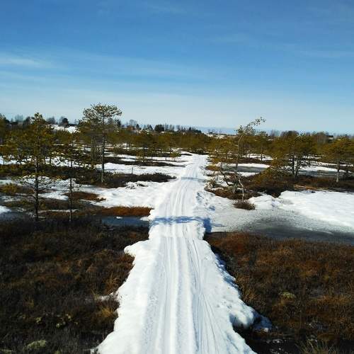 Photo #7372721