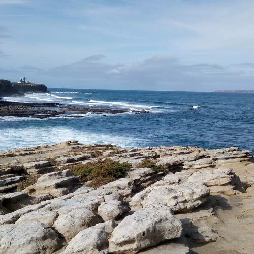 Ponta do trovão