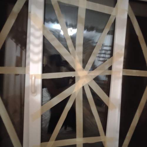 Photo #7373384
