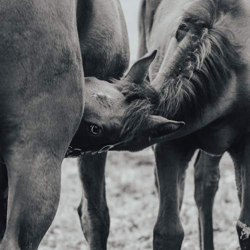 Photo #7373423