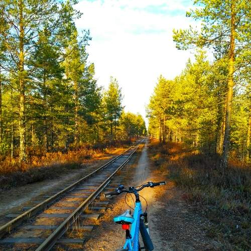 Photo #7373500