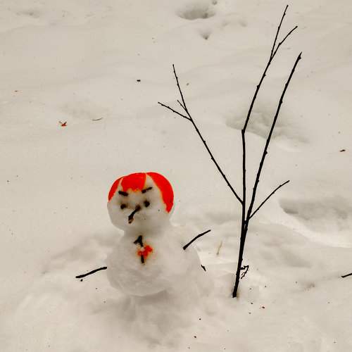 Photo #7373502