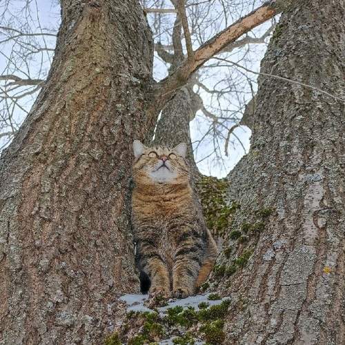 Photo #7373778