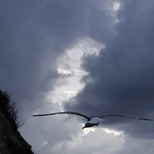 Photo #7373837