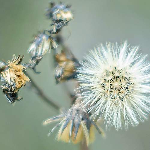 Photo #7374194