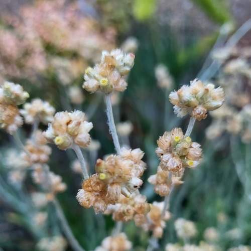 Photo #7374216