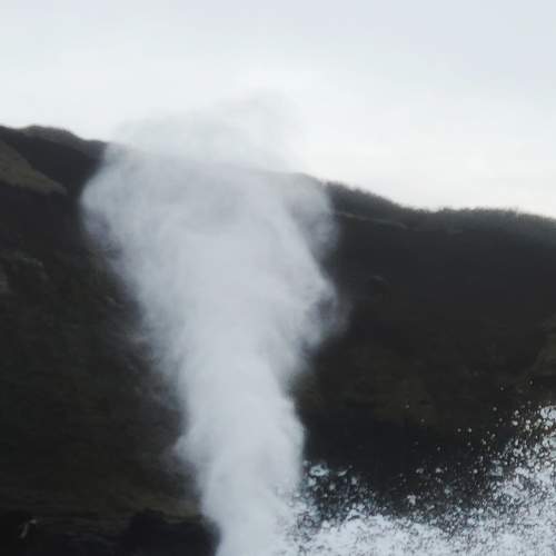 Photo #7374338