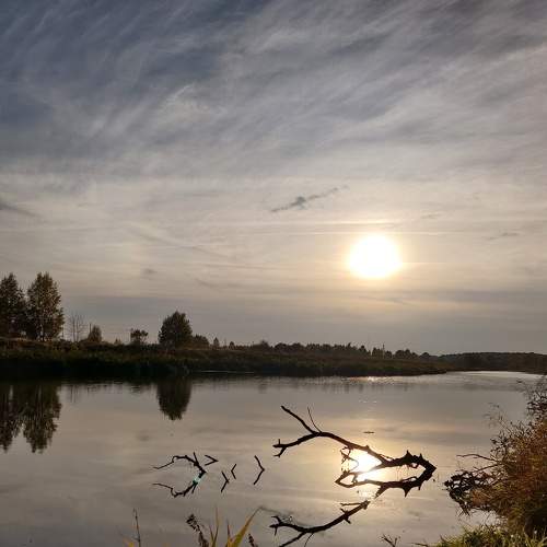 Photo #7374385
