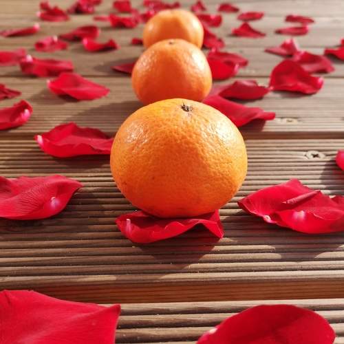Photo #7374598