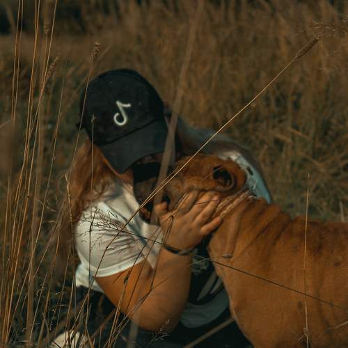 Photo #7374869