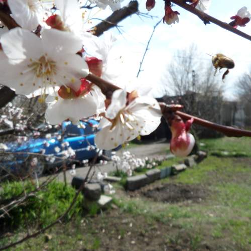 Photo #7375035