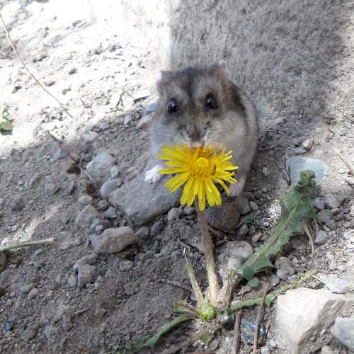 Photo #7375101