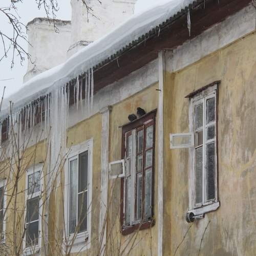Photo #7375198