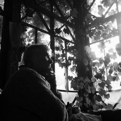 Photo #7375361