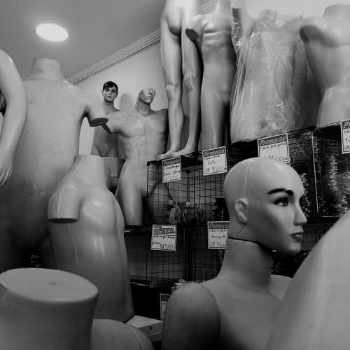 Photo #7375688
