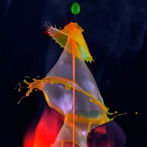 Photo #7375764
