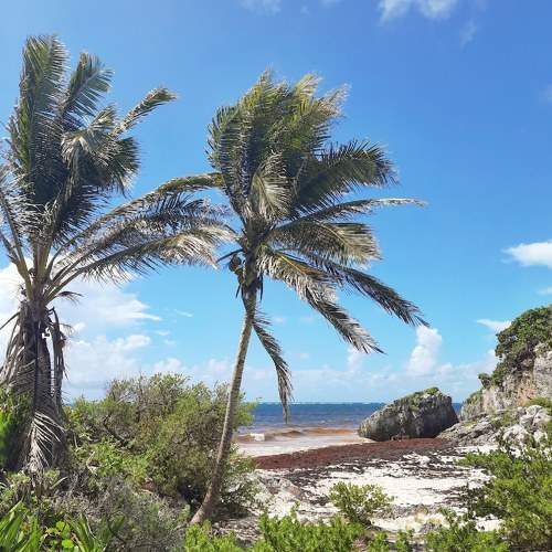 Photo #7375774