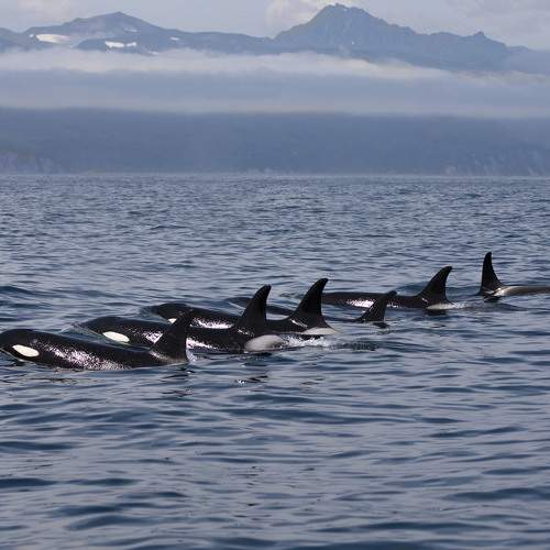 Photo #7375868