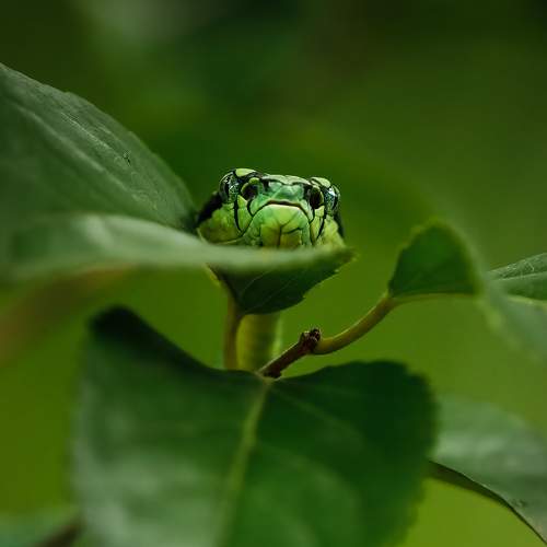 Photo #7376019